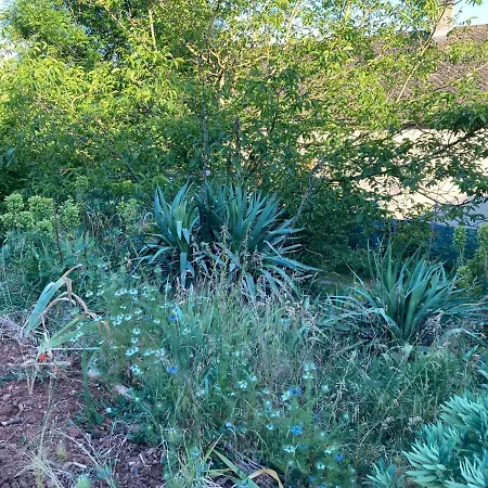 בית נופש Independant, De Plain Pied, A Rodez Aveyron